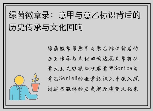 绿茵徽章录：意甲与意乙标识背后的历史传承与文化回响