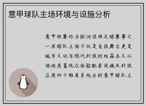 意甲球队主场环境与设施分析