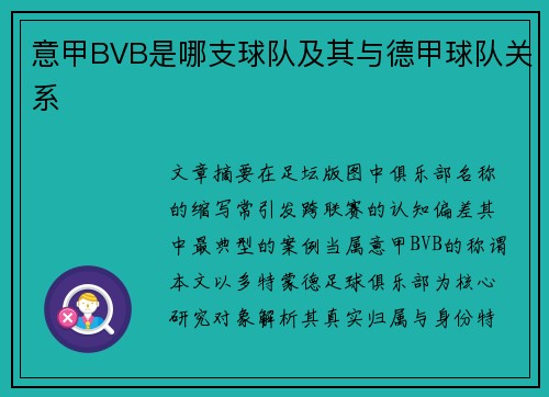 意甲BVB是哪支球队及其与德甲球队关系